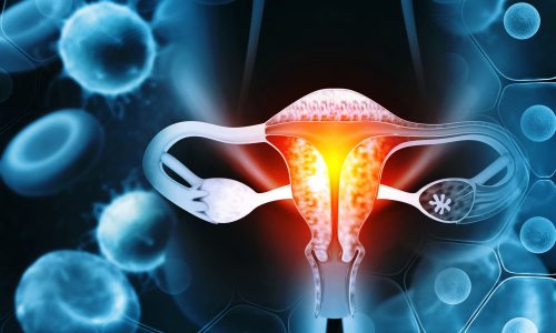 Obstetri-Gjinekologjia